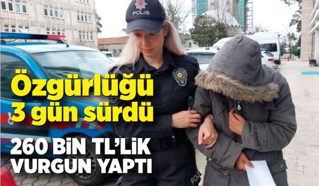 Cezaevinden çıkan kadın vurgun yaptı