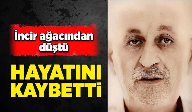 İncir ağacından düştü, hayatını kaybetti!