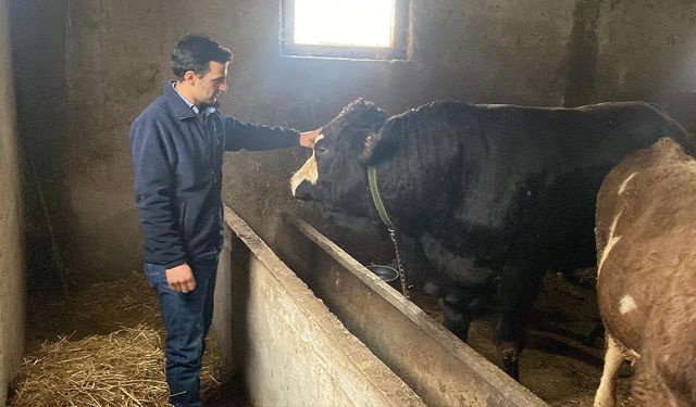 Üniversite mezunu Ömer Çiçek, devlet desteğiyle besicilik yolculuğuna başladı