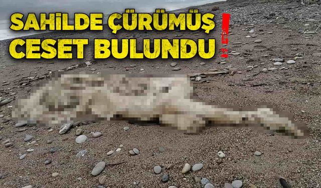 Sahilde çürümüş ceset bulundu!