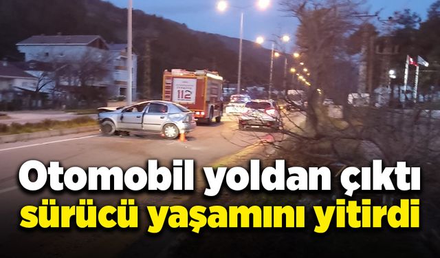 Otomobil yoldan çıktı, sürücü yaşamını yitirdi