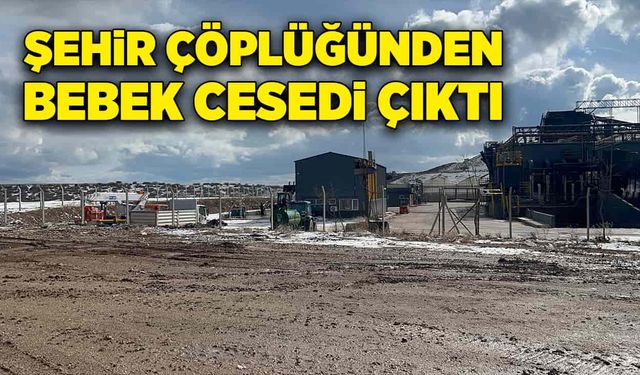 Şehir çöplüğünden yeni doğmuş bebek cesedi çıktı