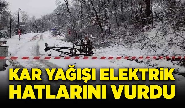 Gece boyu etkili kar yağışı elektrik hatlarını vurdu!