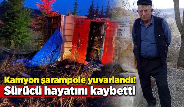 Kamyon şarampole yuvarlandı! Sürücü hayatını kaybetti!