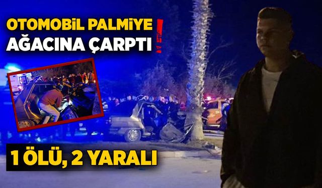 Otomobil palmiye ağacına çarptı! 1 ölü, 2 yaralı!