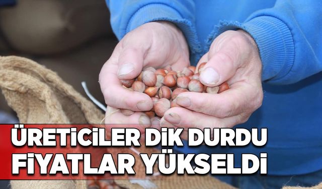 Üreticiler dik durdu, fiyatlar yükseldi!