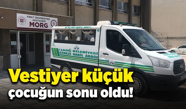 Üzerine vestiyer düşen küçük çocuk yaşamını kaybetti!