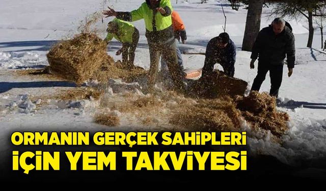 Ormanın gerçek sahipleri için yem takviyesi