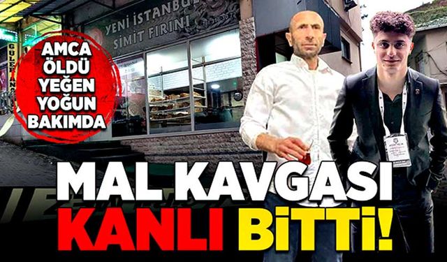 Mal kavgası kanlı bitti! Amca öldü, yeğen yoğun bakımda!