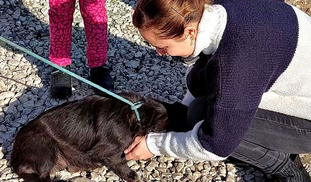 7 aydır kayıp köpeğin sahibi ile buluşma anı duygulandırdı