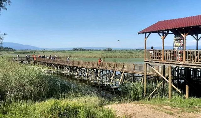 Düzce’nin tabiat parkları binlerce kişiyi ağırladı