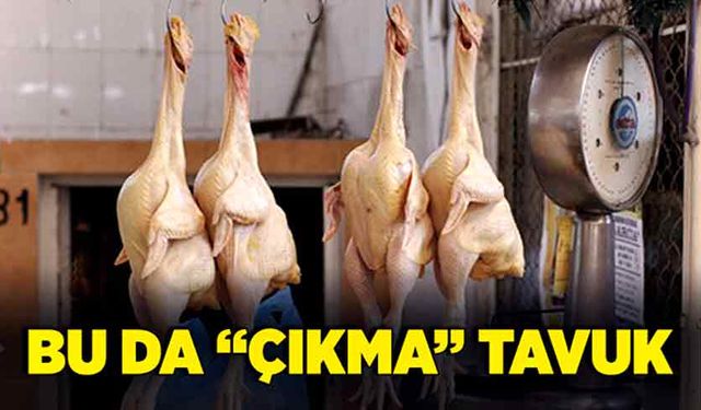 Bu da “çıkma” tavuk