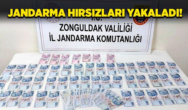 Jandarma hırsızları yakaladı!