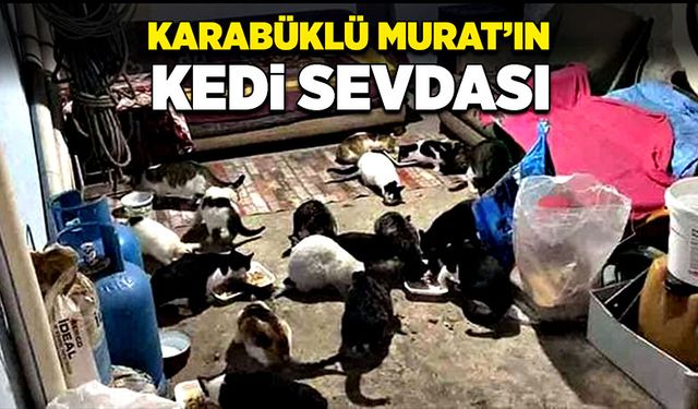 Murat’ın kedi sevdası