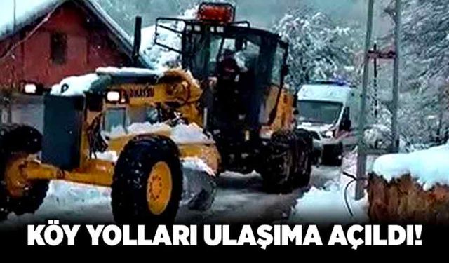 Köy yolları ulaşıma açıldı!