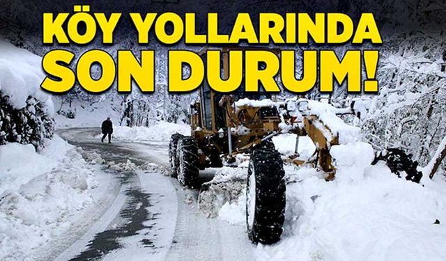 Köy yollarında son durum!