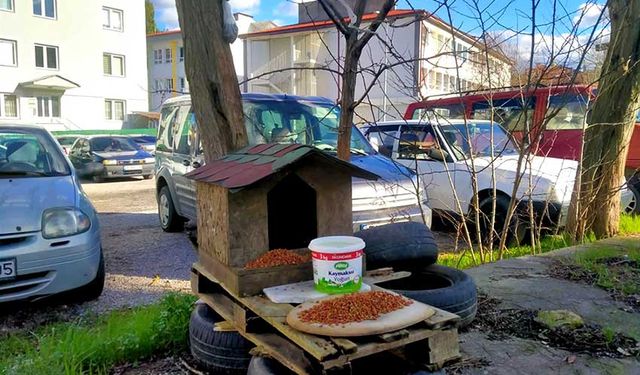 Bartın’da hayvanlar unutulmadı