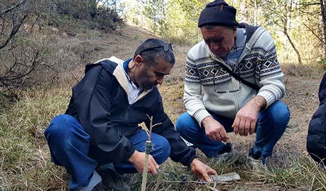 Emekli imam gelecek nesil için doğadaki meyve ağaçlarını aşılıyor