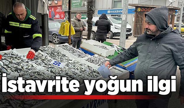 Zonguldak’ta istavrite yoğun ilgi