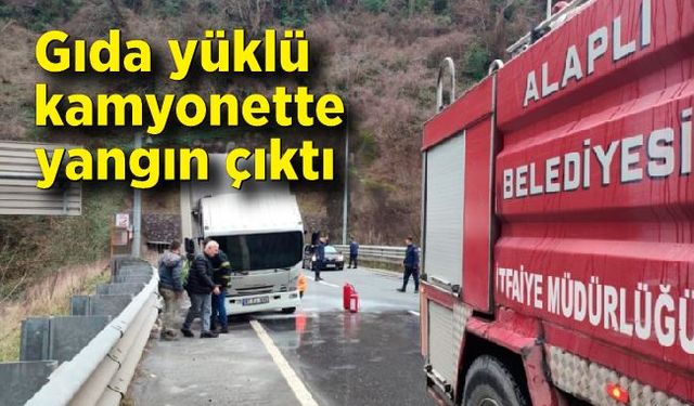 Alaplı'da gıda yüklü Kamyonet de yangın çıktı