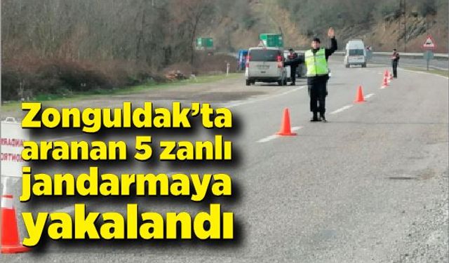 Jandarma aranan 5 suçluyu yakaladı