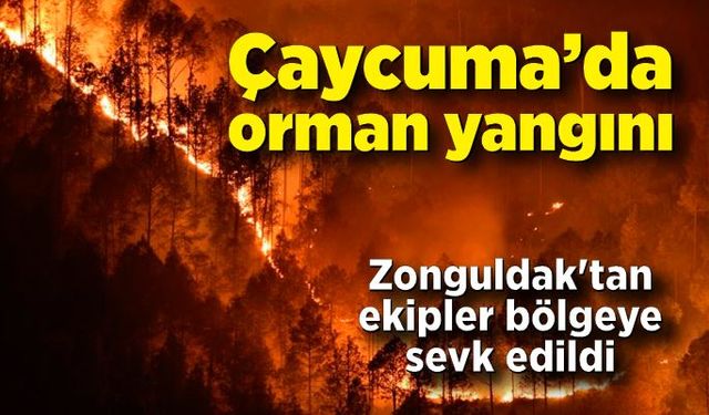 Çaycuma'da orman yangını! Zonguldak'tan da ekipler bölgeye sevk edildi