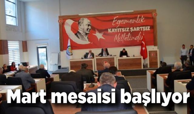 İl Genel Meclisi Mart mesai başlıyor