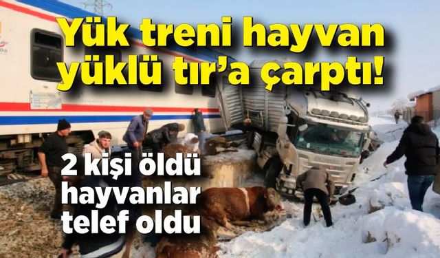 Tren hayvan yüklü tır'a çarptı!