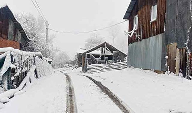 Bolu'nun yüksekleri beyaza büründü