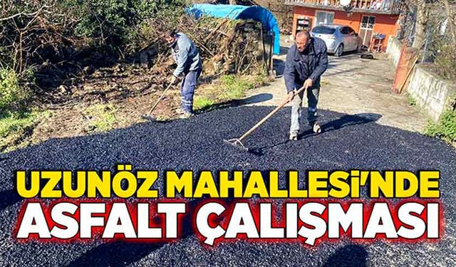 Uzunöz Mahallesi'nde asfalt çalışması