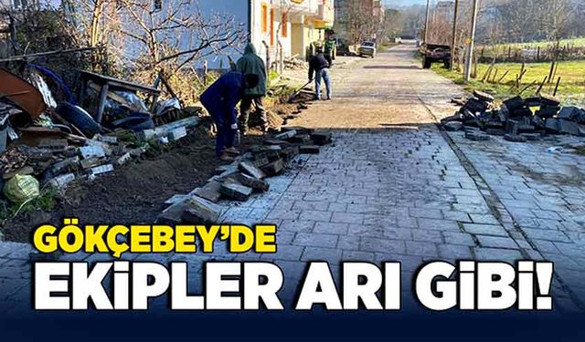 Gökçebey’de ekipler arı gibi!