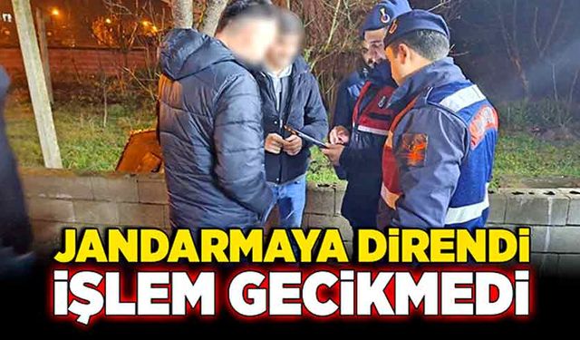 Görevini yapmak isteyen jandarmaya direndi, işlem gecikmedi