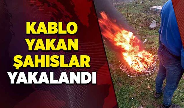 Kablo yakan şahıslar yakalandı