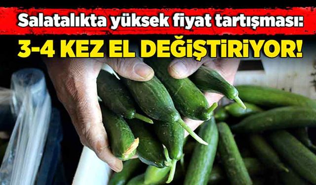 Salatalıkta yüksek fiyat tartışması: 3-4 kez el değiştiriyor!