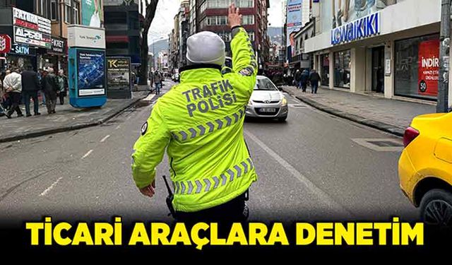 Ticari araçlara denetim