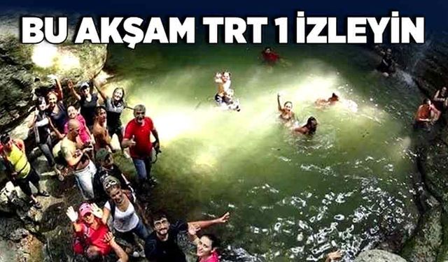 Bu akşam TRT 1 izleyin