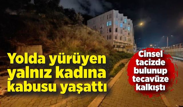 Yolda yürüyen kadına cinsel tacizde bulundu