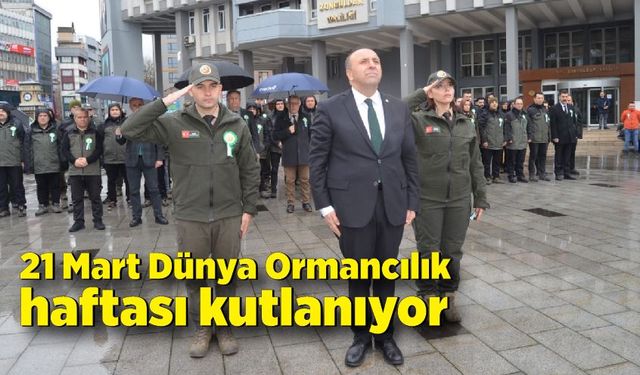 21 Mart Dünya Ormancılık haftası kutlanıyor