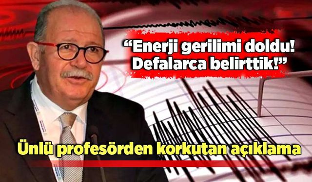 Ünlü profesörden korkutan açıklama: "Enerji gerilimi doldu, defalarca belirttik!"