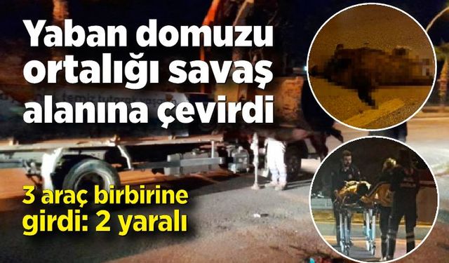 Yaban domuzu ortalığı savaş alanına çevirdi, 3 araç birbirine girdi: 2 yaralı