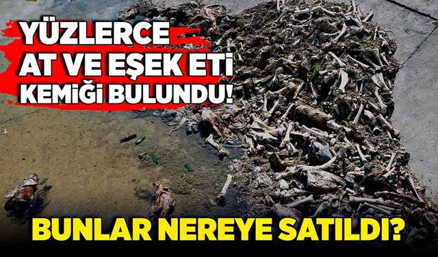 Yüzlerce at ve eşek kemiği bulundu! Bunların etleri nereye satıldı?