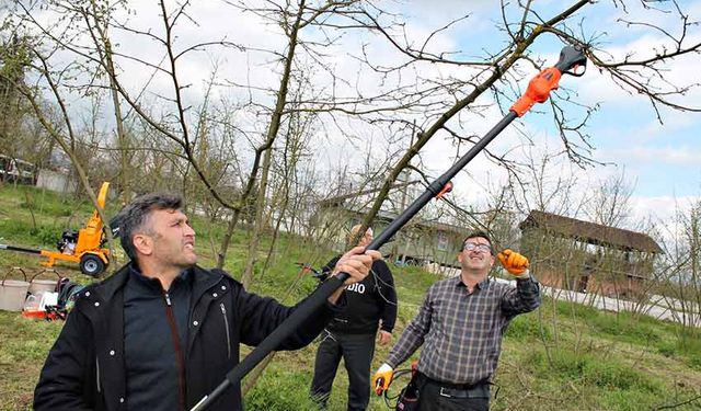 Örnek fındık bahçeleri oluşturuluyor