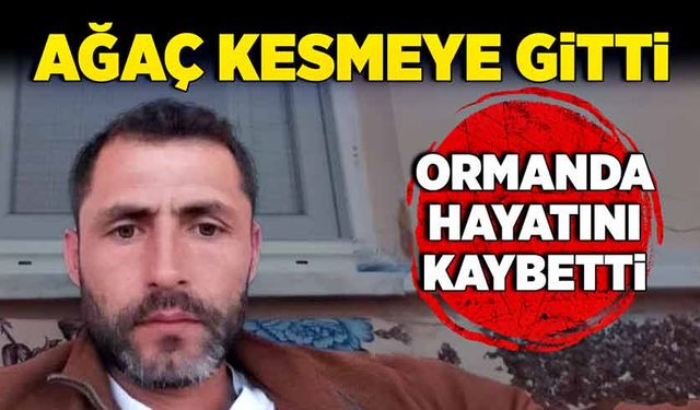 Ağaç kesmeye gitti, ormanda hayatını kaybetti