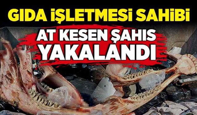 Gıda işletmesi sahibi, at kesen şahıs yakalandı!