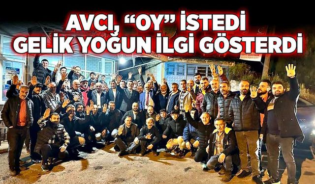 Avcı, “Oy” istedi, Gelik yoğun ilgi gösterdi