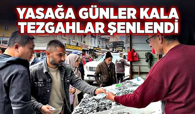 Yasağa günler kala, balık tezgahları şenlendi!