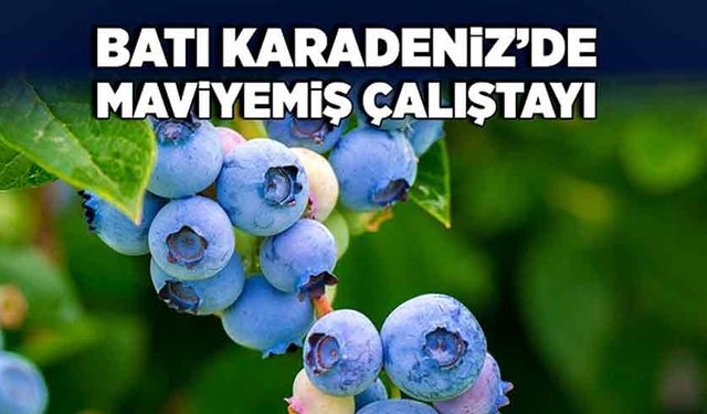 Batı Karadeniz’de  Maviyemiş Çalıştayı