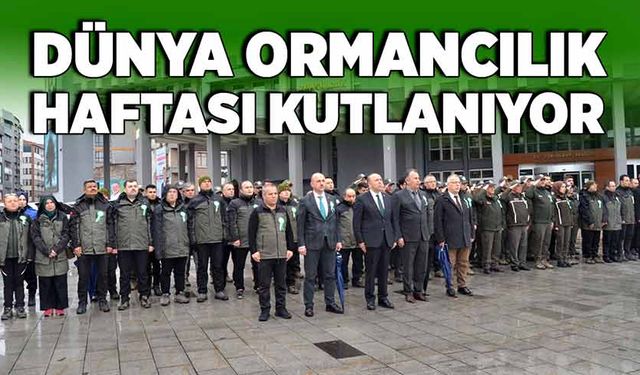 Dünya Ormancılık Haftası kutlanıyor