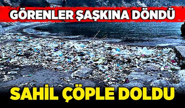 Sahil çöple doldu, görenler şaşkına döndü