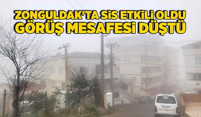 Zonguldak'ta sis etkili oldu, görüş mesafesi düştü